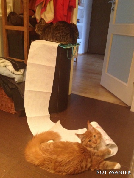Tygrys i Maniek i papier